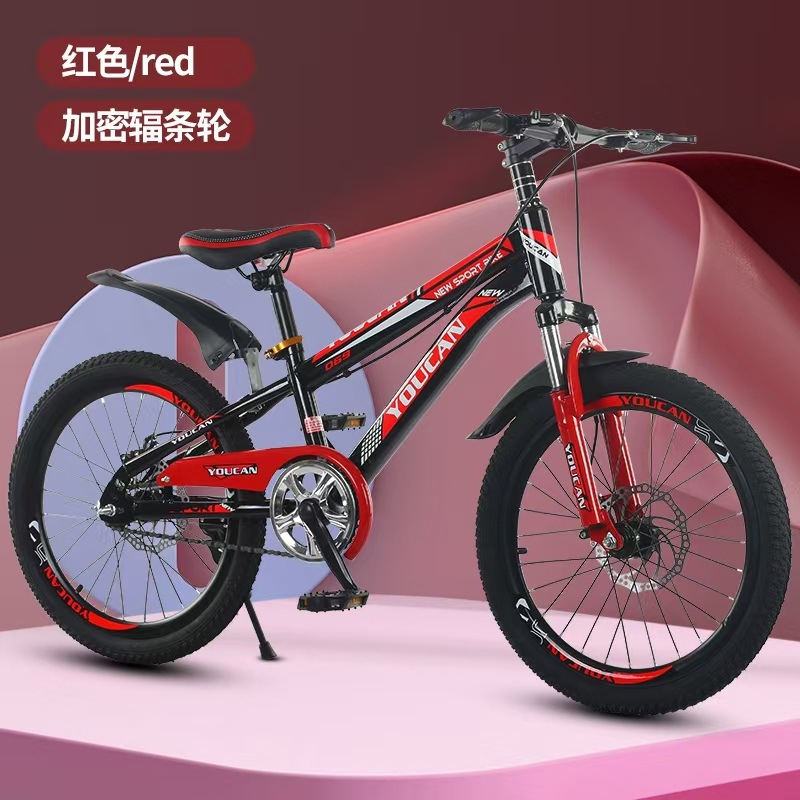Cycling Low Gear - Princess Style Kids Mountain Bike for