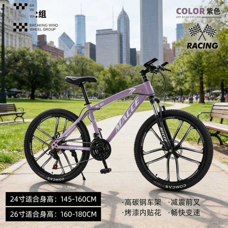 Purple 10-Speed High-End Mount - Cycling Low Gear 评论和价格