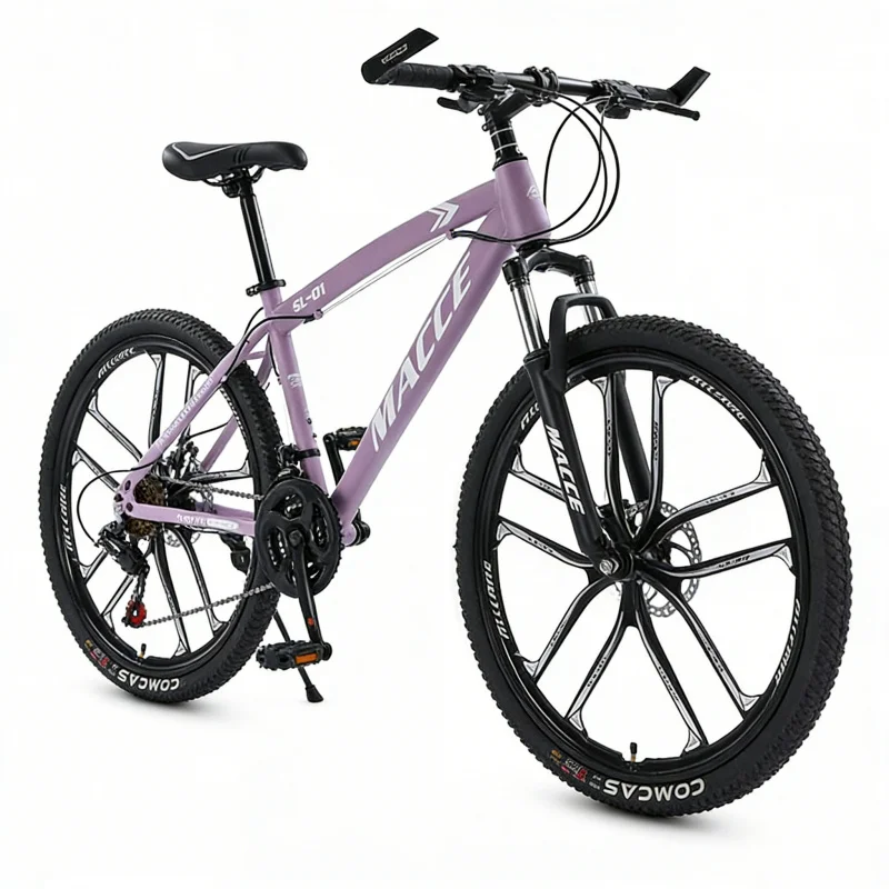 Purple 10-Speed High-End Mount - Cycling Low Gear 评论和价格