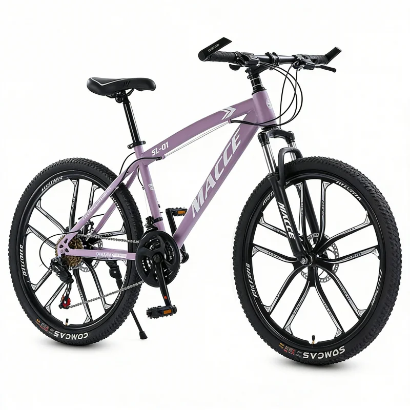 Purple 10-Speed High-End Mount - Cycling Low Gear 评论和价格