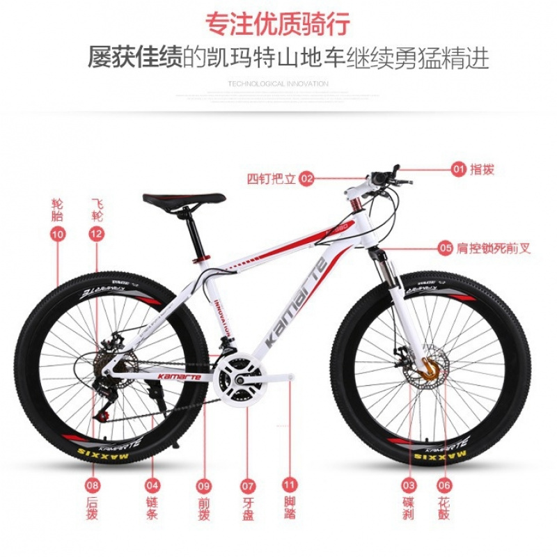 26-inch Youth & Adult Mountain - Cycling Low Gear 评论和价格
