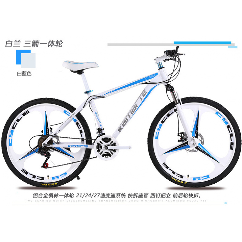 26-inch Youth & Adult Mountain - Cycling Low Gear 评论和价格