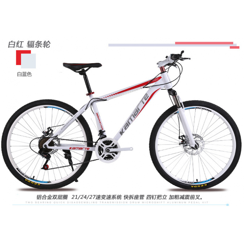 26-inch Youth & Adult Mountain - Cycling Low Gear 评论和价格