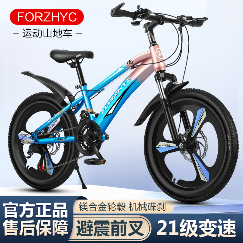 FORZHYC 20 Inch 21 Speed Kids  - Cycling Low Gear 评论和价格
