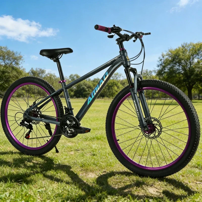 Multi-speed Mountain Bike Ligh - Cycling Low Gear 评论和价格