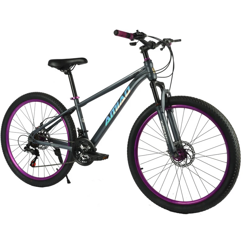 Multi-speed Mountain Bike Ligh - Cycling Low Gear 评论和价格