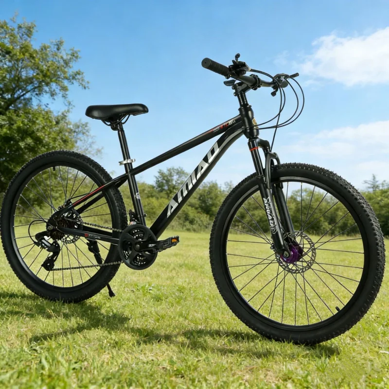 Multi-speed Mountain Bike Ligh - Cycling Low Gear 评论和价格