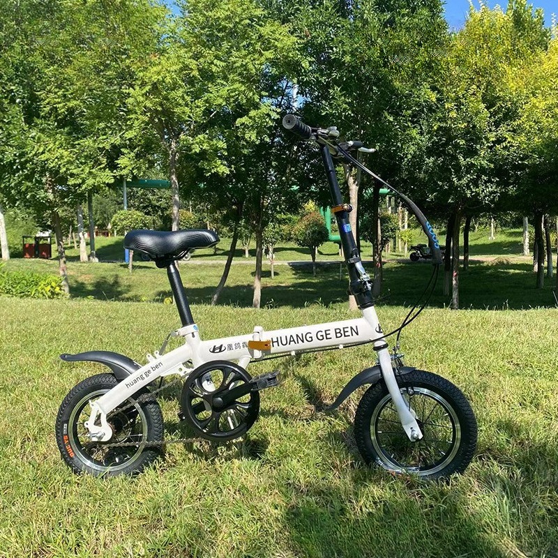 20 Inch Folding Bikes Adult Va - Cycling Low Gear 评论和价格
